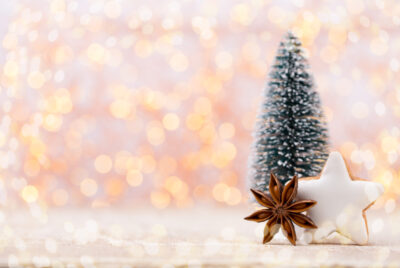 Christmas Alumni Special 2025  